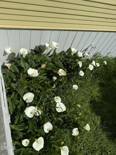 596 S Sanderson Way, Fort Bragg CA: https://media.crmls.org/mediaz/02b9e871-1439-455e-bf53-8985114fa2b9.jpg