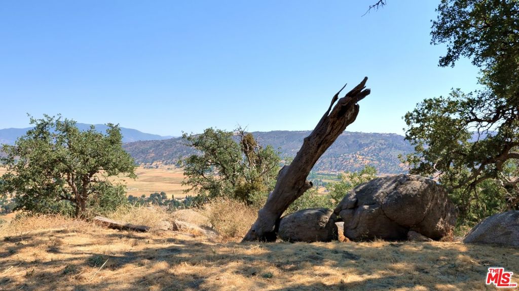 MLS #25613265 image #7