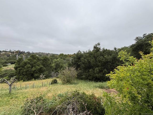 2566 Los Cerritos Ln, Fallbrook CA: https://media.crmls.org/mediaz/02e4f98d-ff26-4870-bae0-4816abc0f7b5.jpg