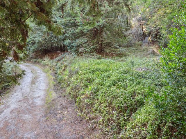 24140 Schulties Road, Los Gatos CA: https://media.crmls.org/mediaz/02f83f3a-a91d-4f0a-98b7-b95f41afffe5.jpg