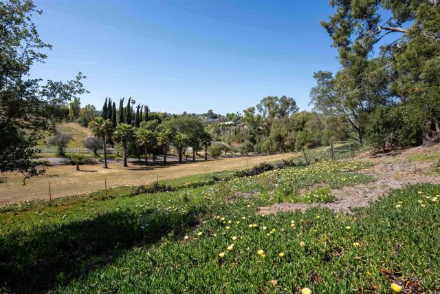 Detail Gallery Image 27 of 31 For 5221 Olive Hill Rd, Fallbrook,  CA 92028 - 7 Beds | 4 Baths