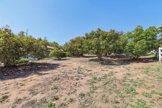 3612 Palomar Drive, Fallbrook, California 92028, 3 Bedrooms Bedrooms, ,2 BathroomsBathrooms,Residential,For Sale,3612 Palomar Drive,CRNDP2503953