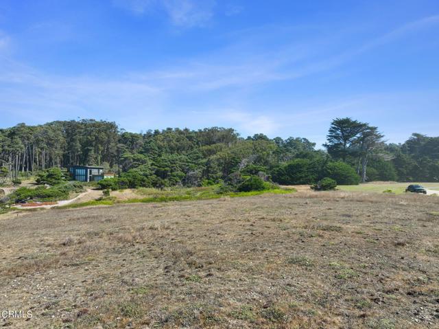 17290 Ocean Drive, Fort Bragg, California 95437, ,Land,For Sale,17290 Ocean Drive,CRC1-10376