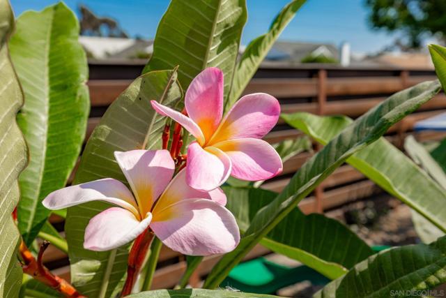 127 Warner Street, Oceanside CA: https://media.crmls.org/mediaz/030f6a79-fe3c-43ae-ab9d-f1c5807735df.jpg