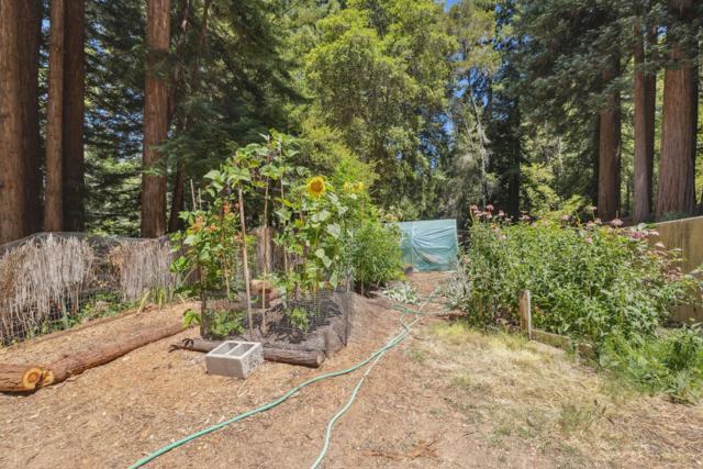 12256 La Lena Street, Felton CA: https://media.crmls.org/mediaz/03103e40-0539-466c-aba5-5d9cc5488068.jpg