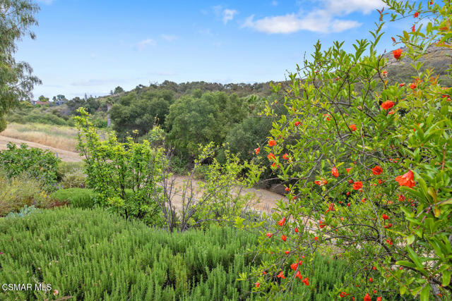 464 W Avenida De Las Flores, Thousand Oaks CA: https://media.crmls.org/mediaz/03114c78-bf97-41b9-afba-df693b11d4bf.jpg