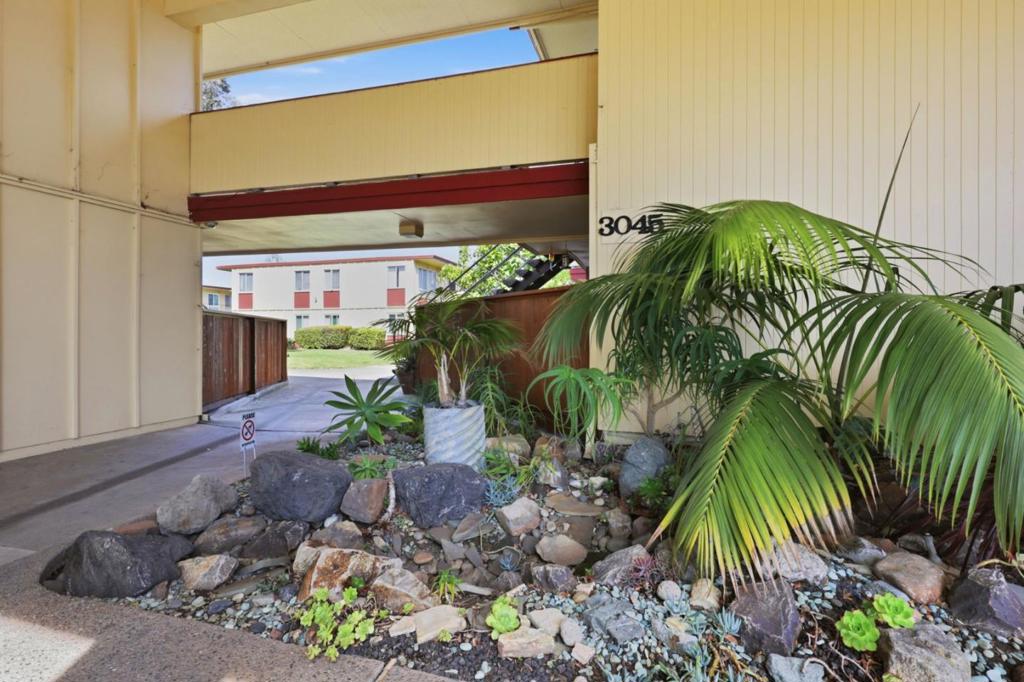 3045 Los Prados Street #217