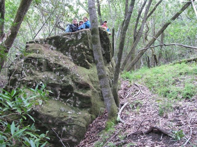 11 Little Uvas Road, Morgan Hill CA: https://media.crmls.org/mediaz/032de4cf-5802-4964-8903-6f2e9af99aee.jpg