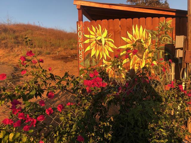 Detail Gallery Image 30 of 32 For 1313 Rice Canyon Rd, Fallbrook,  CA 92028 - – Beds | – Baths