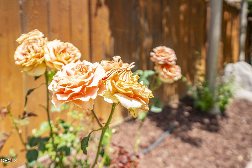 https://media.crmls.org/mediaz/033c775a-3bbf-40bc-a6d2-1ed9e1a104b8.jpg?preset=X-Large