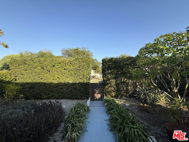 Front Yard