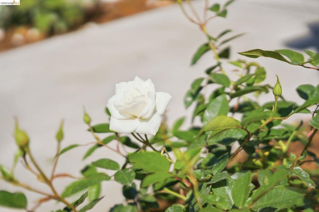 https://media.crmls.org/mediaz/0340257b-9d60-4fa9-95b9-ed535e96bab8.jpg?preset=X-Large