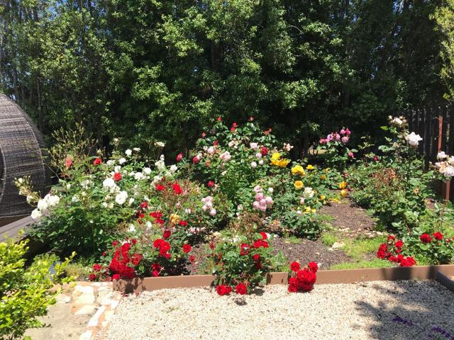 25550 Rio Vista Drive, Carmel CA: https://media.crmls.org/mediaz/034d283e-cfb0-46a3-9603-3fc061f0aa80.jpg