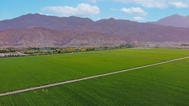 DJI_0767