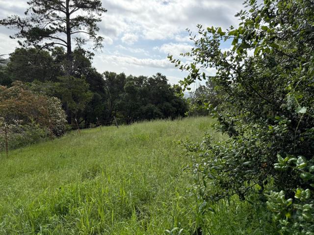 252 Raymundo Drive, Woodside CA: https://media.crmls.org/mediaz/0350f8b2-e62f-4461-a3d5-0a5ae5a7c744.jpg