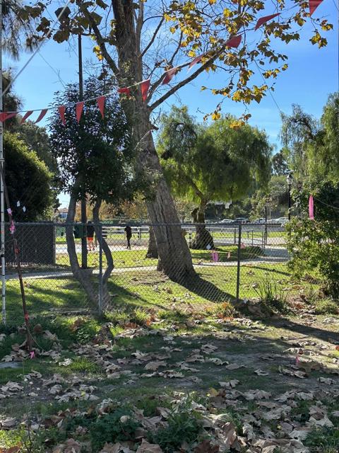 701 Valley Ave, Solana Beach CA: https://media.crmls.org/mediaz/0351565f-f032-4a57-aac0-4605eaeb28fd.jpg