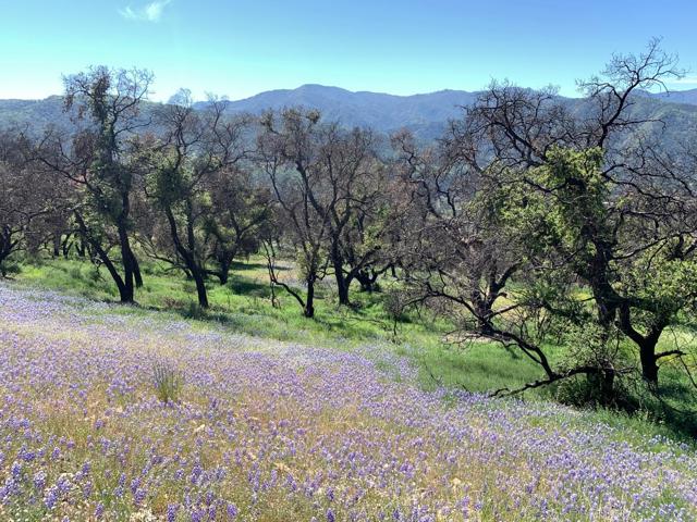0 Cachagua, Carmel Valley CA: https://media.crmls.org/mediaz/0354c526-14a2-4338-9e8c-5d4b913c9324.jpg