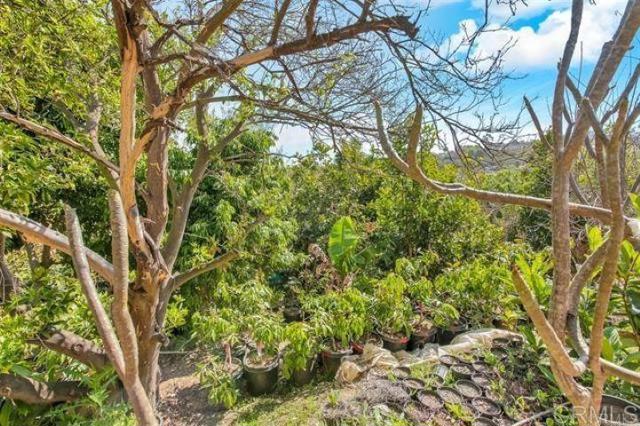 2081 Elevado Road, Vista CA: https://media.crmls.org/mediaz/0357707a-4ff9-43e2-9c6a-53b9240716d3.jpg