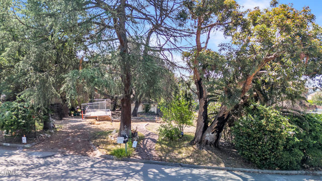 3128 Mount Curve Avenue, Altadena CA: https://media.crmls.org/mediaz/03672dfd-a34e-49fa-a601-d66fb1ac4c06.jpg