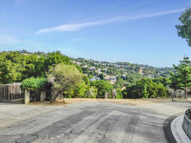 0 Lower Lock Avenue, Belmont CA: https://media.crmls.org/mediaz/036b34b7-44e0-4e2d-99e8-4d6c31e85820.jpg