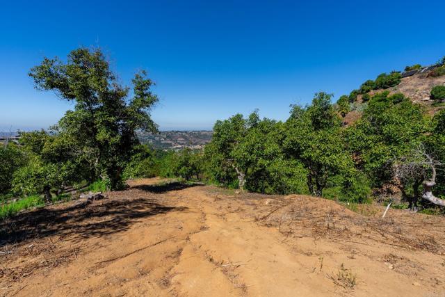 0 Wilt Road, Fallbrook CA: https://media.crmls.org/mediaz/036cf354-1caf-4536-a2b0-ccf8430e240f.jpg
