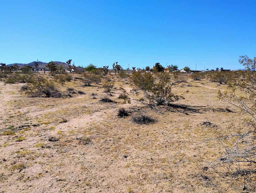 MLS #219138097DA image #13