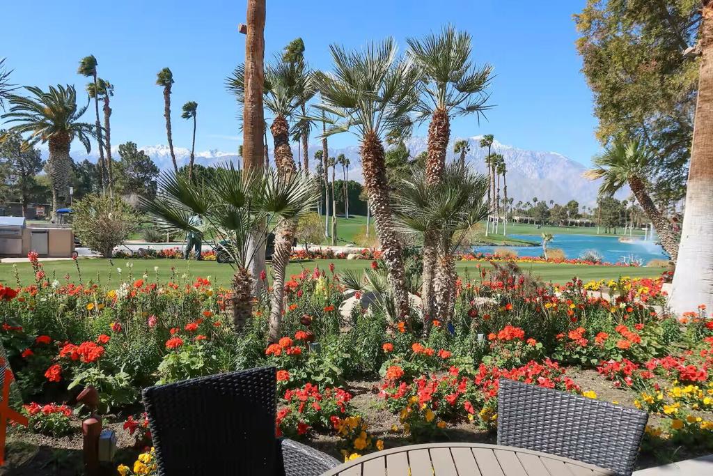 MLS #219137717DA image #22