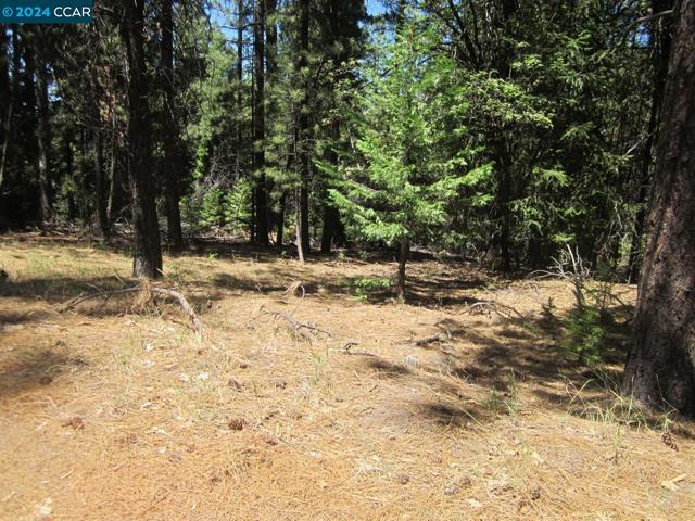 Image 4 of 7 For 9893 Grizzly Flat Rd