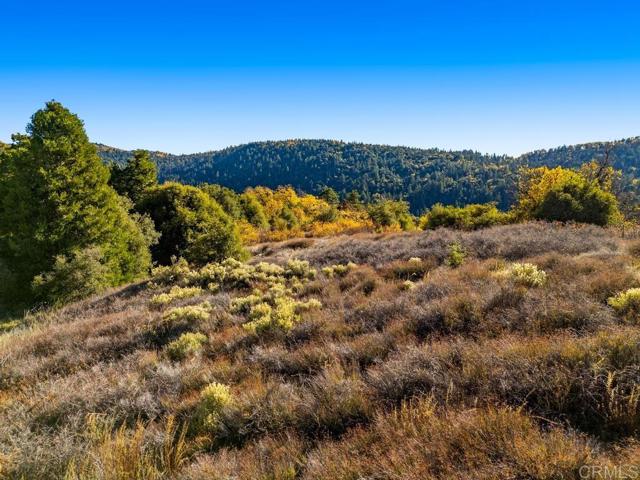 Detail Gallery Image 30 of 33 For 0 State Park Rd, Palomar Mountain,  CA 92060 - – Beds | – Baths