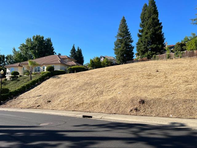 102 Black Gold Lane, Folsom CA: https://media.crmls.org/mediaz/0398c9b6-c383-4554-a29d-918e3cba94b4.jpg