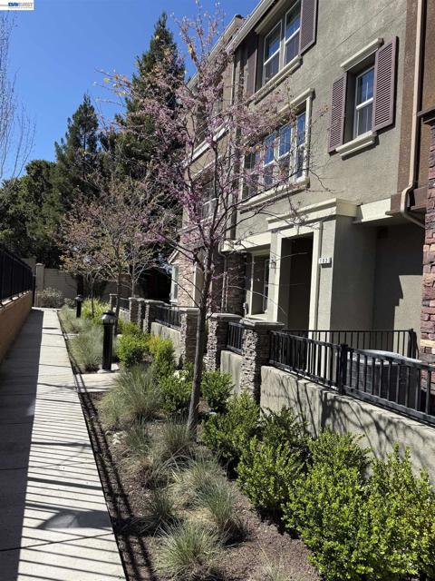 Image 37 of 47 For 102 Fanuncio Ln