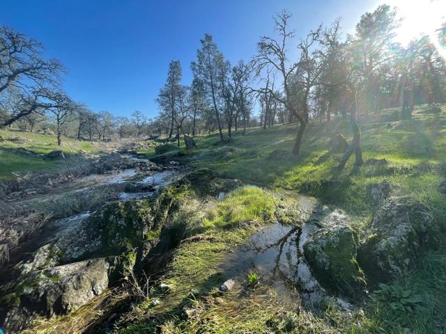 0 Avacado Road, Oroville CA: https://media.crmls.org/mediaz/039ef597-fc71-4987-a16d-1ece06f8e370.jpg