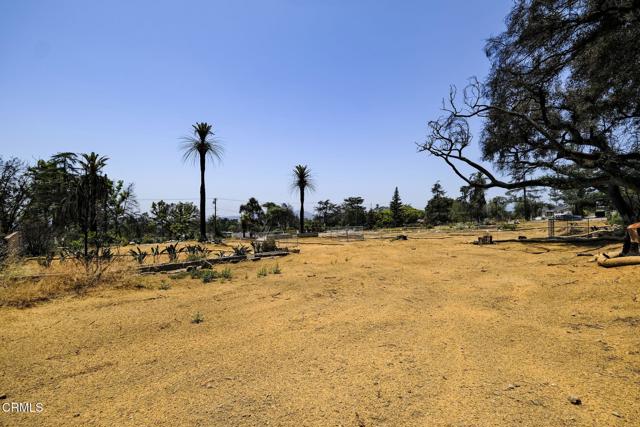 677 E Palm Street, Altadena CA: https://media.crmls.org/mediaz/03a33914-2884-46d8-a57b-5e0cd48115ef.jpg