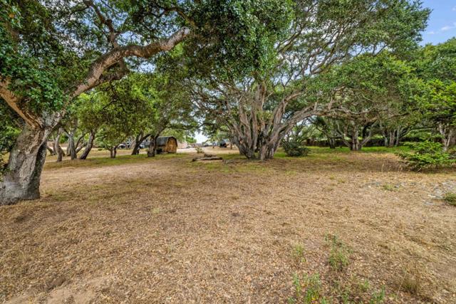 8697 Dyer Road, Salinas CA: https://media.crmls.org/mediaz/03aaff0e-207a-4679-ab06-b56529cb41ff.jpg