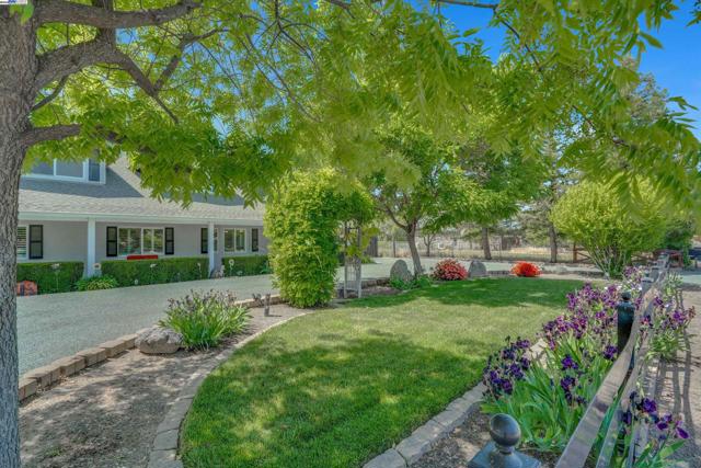 1969 Buena Vista Ave, Livermore CA: https://media.crmls.org/mediaz/03b251c8-548a-499c-a7d1-fb4285d9a259.jpg