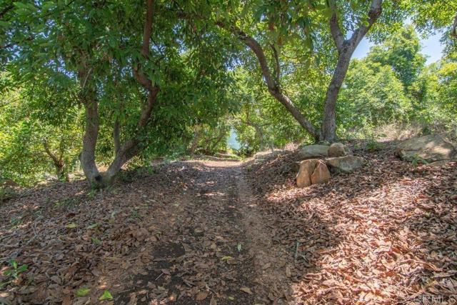 3137 E Valley Parkway, Escondido CA: https://media.crmls.org/mediaz/03b475bd-d487-4a82-b011-a4a865f9a212.jpg