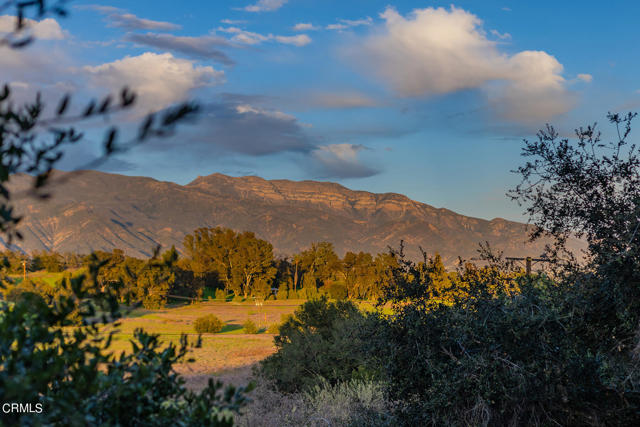 Detail Gallery Image 28 of 42 For 11966 N Ventura Ave, Ojai,  CA 93023 - 3 Beds | 2 Baths