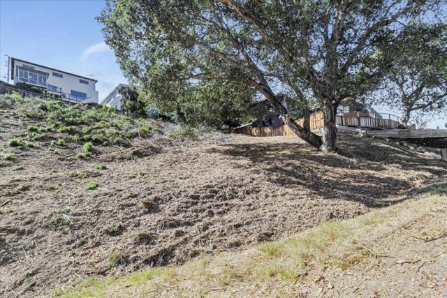 0 Lower Lock Avenue, Belmont CA: https://media.crmls.org/mediaz/03bf61bd-9769-464e-a03f-dc4cf0eee523.jpg