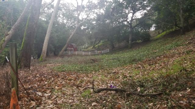 Image 4 of 9 For 900 Kilkare Rd
