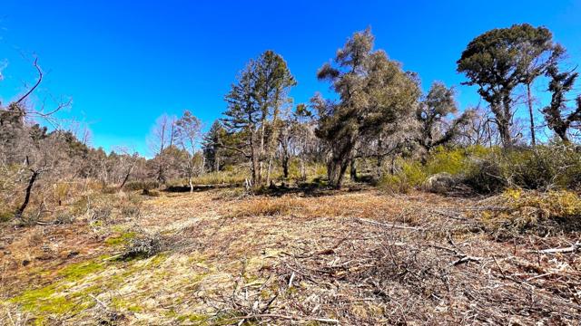 11035 Empire Grade, Santa Cruz CA: https://media.crmls.org/mediaz/03ca73fd-0b04-47ae-9eef-9ac5401ccda3.jpg