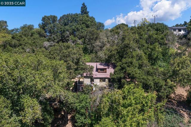 37 La Madronal, Orinda CA: https://media.crmls.org/mediaz/03cae6a6-a2c6-4789-a8ab-bcd6bf5d913a.jpg