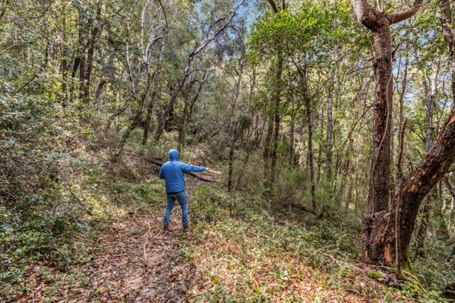 Image 1 of 10 For 0 Madrone Avenue