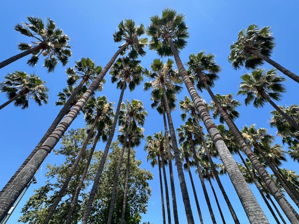 https://media.crmls.org/mediaz/03d2f560-d09b-40ab-a23d-fafbdb372ce9.jpg?preset=X-Large