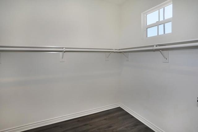 7603 23rd Street, Westminster CA: https://media.crmls.org/mediaz/03e04b01-c37a-49c6-9e0d-65bcc0fa4a1a.jpg
