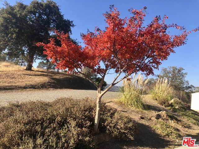 31229 Rolling Meadow Court, Coarsegold CA: https://media.crmls.org/mediaz/03e27f9f-c996-40d5-836b-8a422e28eaa6.jpg