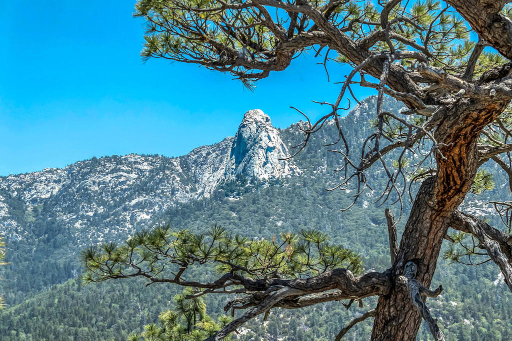 https://media.crmls.org/mediaz/03e8d8fd-1f78-4c03-abcf-3b14ec24d330.jpg?preset=X-Large