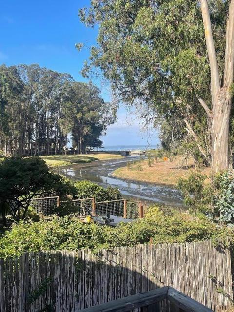 241 Palisades Avenue, Santa Cruz CA: https://media.crmls.org/mediaz/03e9096b-eb76-4fad-834b-a0e9bd506948.jpg
