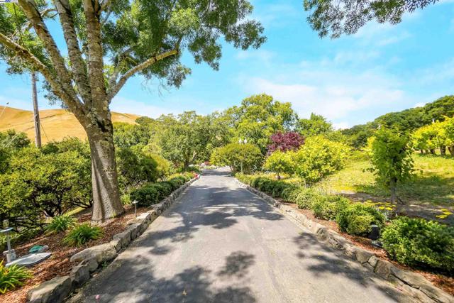 8700 Oak Tree Ln, Castro Valley CA: https://media.crmls.org/mediaz/03fb608d-a10a-452a-8f2f-49479478d793.jpg