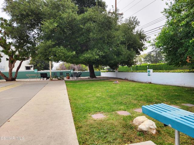 dog park