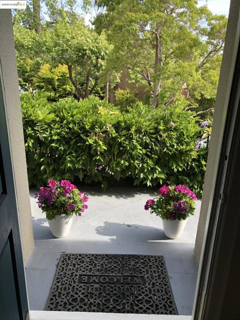 169 Ronada Ave, Piedmont CA: https://media.crmls.org/mediaz/0415f17a-9ae7-4653-97e7-4fec375f9ed0.jpg